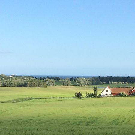 Garden Mellan Slotten Svarte Экстерьер фото