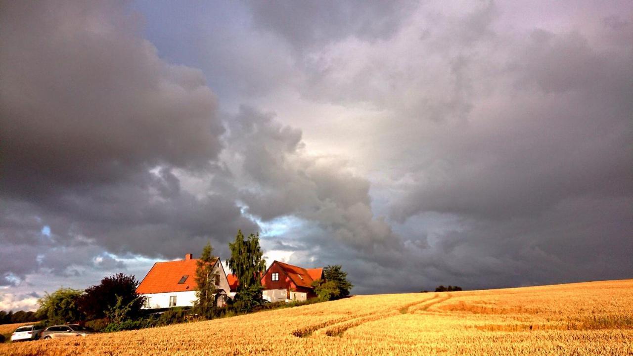 Garden Mellan Slotten Svarte Экстерьер фото