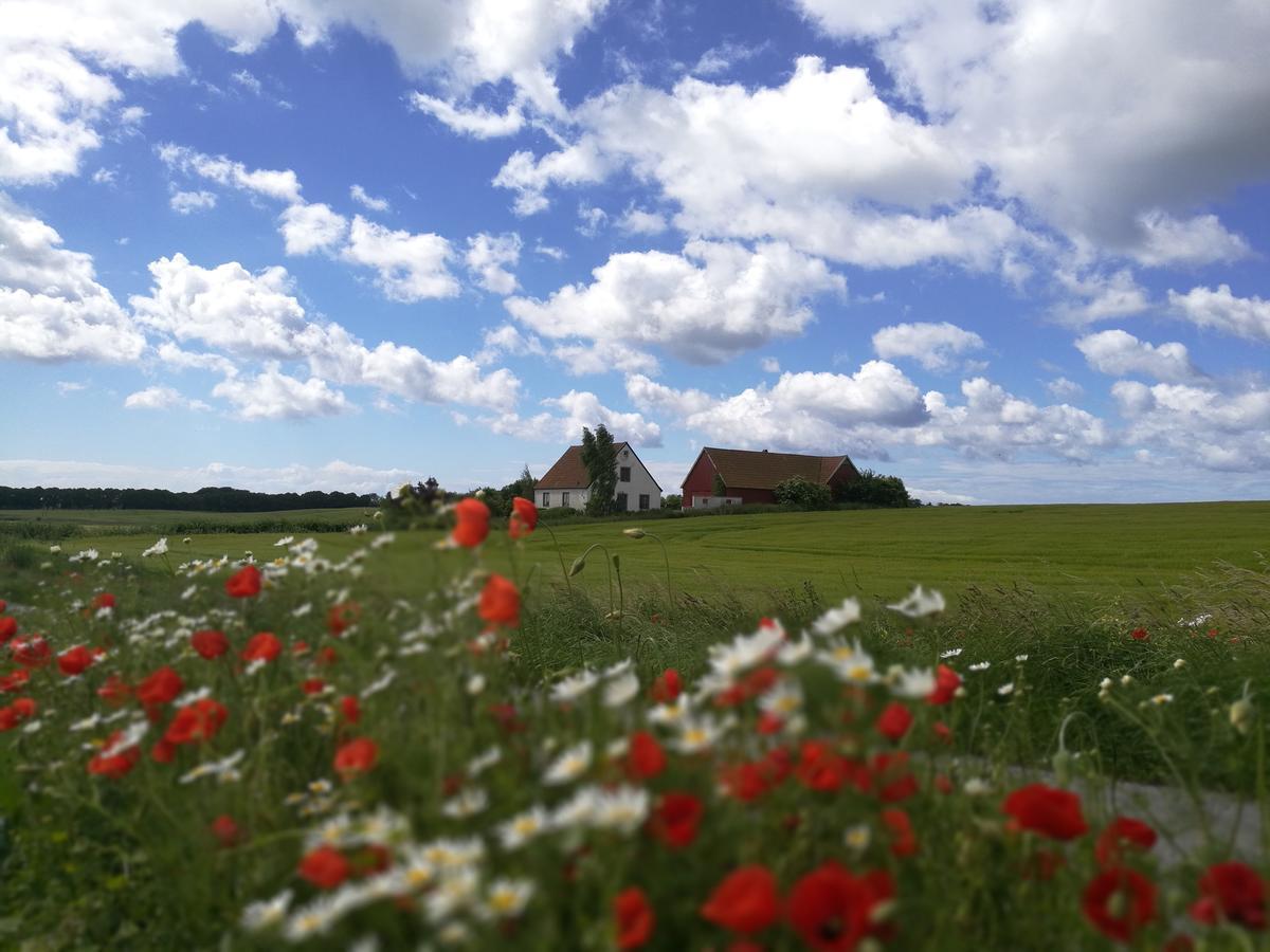Garden Mellan Slotten Svarte Экстерьер фото