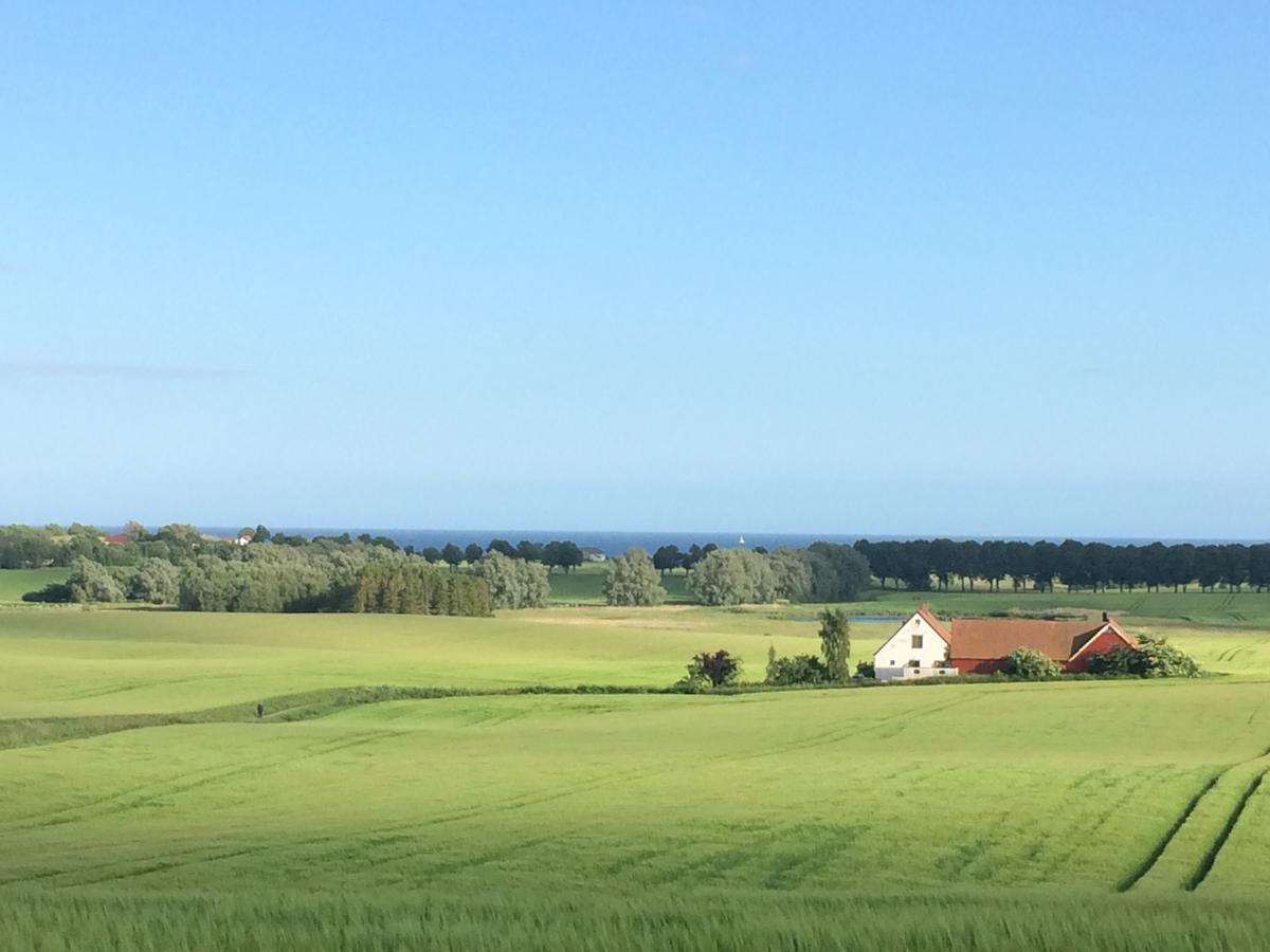 Garden Mellan Slotten Svarte Экстерьер фото