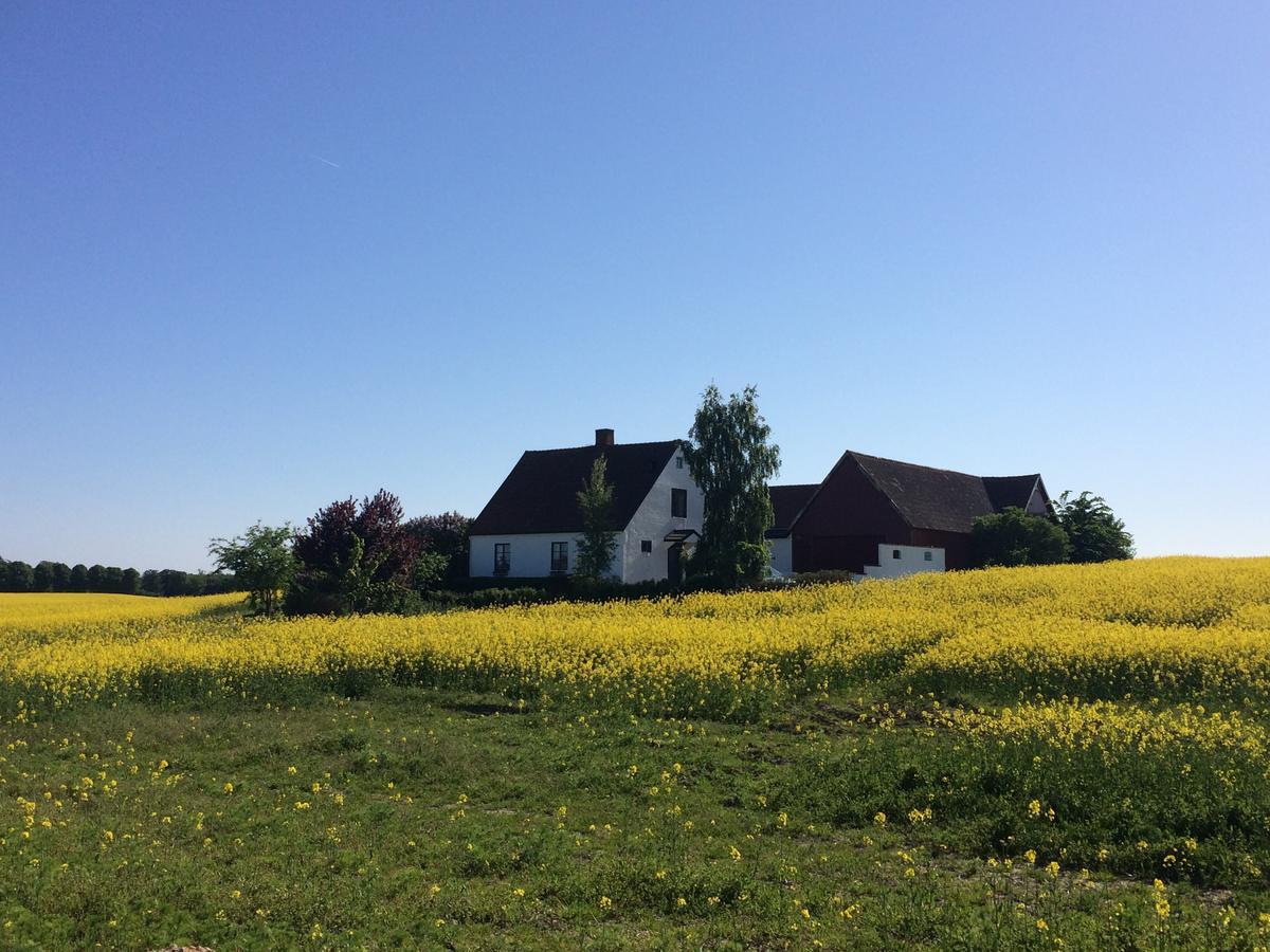 Garden Mellan Slotten Svarte Экстерьер фото