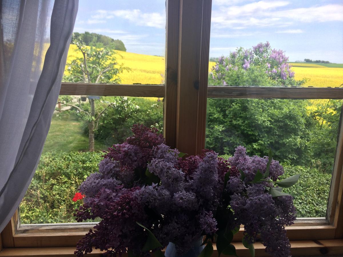 Garden Mellan Slotten Svarte Экстерьер фото